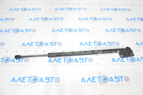 Shock absorber trunk door right Hyundai Santa FE 19-23