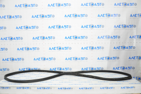 Tesla Model X 16-21 Trunk Door Rubber Seal