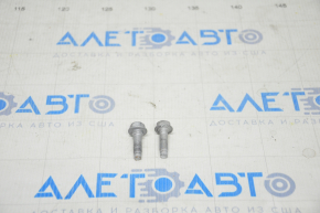 Bolts for the upper hinge of the front left Tesla Model X door 16-21, 2 pcs set
