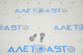 Bolts lower door hinges on the door rear right front Tesla Model X 16-21 2 pcs set