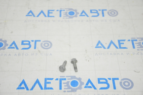 Tesla Model X Right Sun Visor Bolts 16-21 2 pcs set