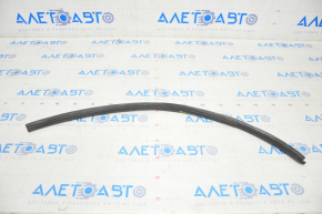 Tesla Model X 16-21 Rear Left Door Wing Arch Seal