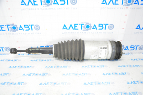 Air strut rear left Tesla Model X 16-21 type 2