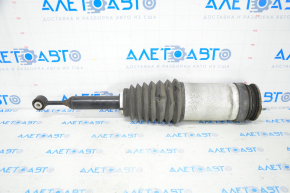 Air strut rear left Tesla Model X 16-21 type 2