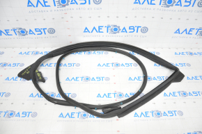 Lexus IS 14-20 rear left door seal