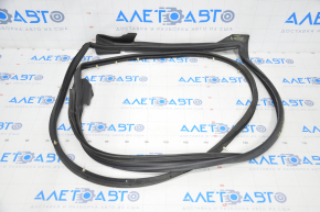 Lexus IS 14-24 front left door seal