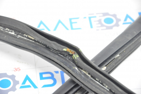 Tesla Model S 12-20 Trunk Door Rubber Seal Tear