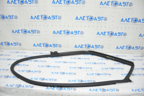 Tesla Model S 12-20 rear left door seal