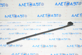 Tesla Model S 12-21 Front Left Door Seal Lower