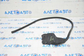 Tesla Model S 12-21 Rear Left Door Seal