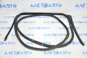 Infiniti QX50 19-25 rear left door seal