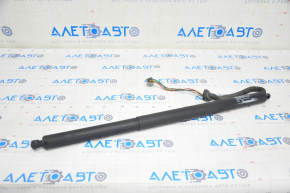 Trunk Door Shock Absorber Right Tesla Model S 12-20 Electric