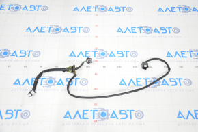 Infiniti QX50 19-25 Trunk Door Light Wiring
