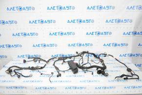 Wiring underhood front left Tesla Model S 12-20