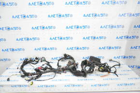Wiring underhood-interior right Tesla Model S 12-20