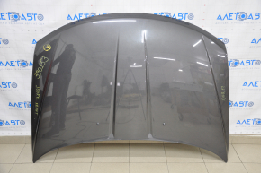 Hood bare Dodge Journey 11-20 graphite PAU