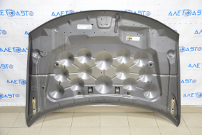 Hood bare Dodge Journey 11-20 graphite PAU