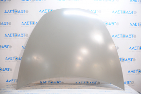 Tesla Model 3 18 bare hood - aluminum