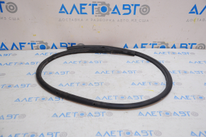Tesla Model 3 18- Rear Left Door Seal
