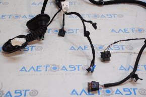 Tesla Model 3 18- Rear Right Door Wiring