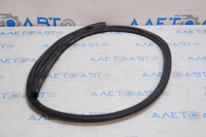 Tesla Model 3 18- Rear Right Door Seal