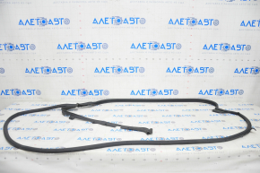 Front left door seal Honda Clarity 18-21 usa tear