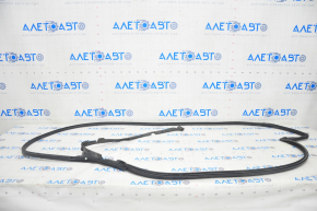 Front left door seal Honda Clarity 18-21 usa tear