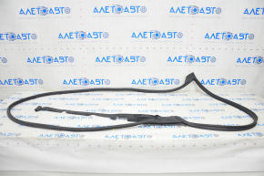 Front right door seal Honda Clarity 18-21 usa