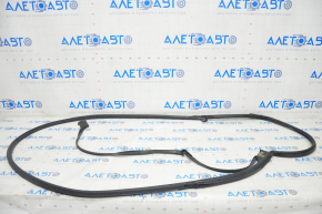 Door seal rear right Honda Clarity 18-21 usa