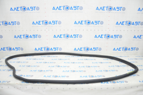 Door seal front right Honda Clarity 18-21 usa