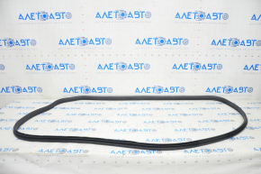 Door seal front right Honda Clarity 18-21 usa