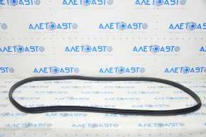 Door seal rear right Honda Clarity 18-21 usa