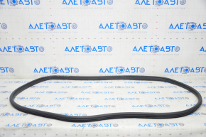 Door seal rear left Honda Clarity 18-21 usa