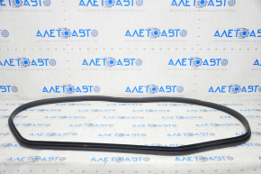 Door seal rear left Honda Clarity 18-21 usa