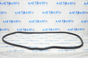 Door seal front left Honda Clarity 18-21 usa