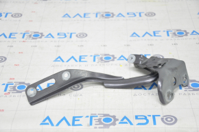Hood hinge right Honda Clarity 18-21 usa