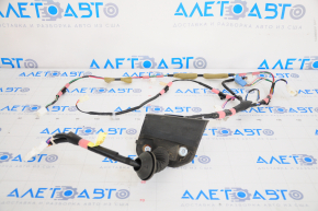 Toyota Prius 30 10-15 Front Left Door Wiring