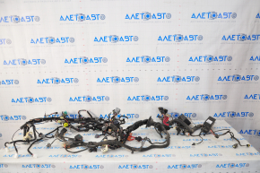 Wiring underhood-interior Tesla Model S 12-20 AWD