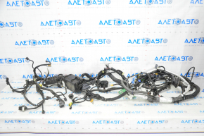 Wiring underhood with fuse box Honda Clarity 18-19 usa