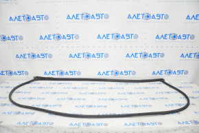 Honda Civic X FC 16-21 4D Front Left Door Seal