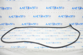 Honda Civic X FC 16-21 4D Front Right Door Seal