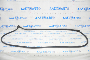 Honda Civic X FC 16-21 4D Front Right Door Seal