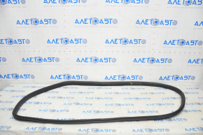 Door Seal Rear Left Tesla Model Y 20-25