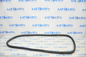 Door Seal Rear Right Tesla Model Y 20-25