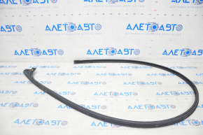 Door Seal Upper Left Tesla Model Y 20-25