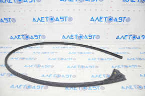 Door Seal Upper Right Tesla Model Y 20-25