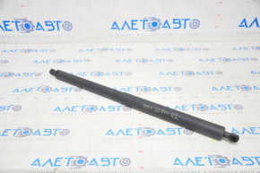 Trunk Door Shock Absorber Right Tesla Model Y 20-25