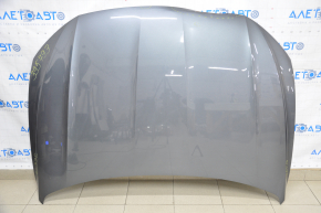 The hood is bare VW Jetta 19-24 graphite LD7X dented in the front, rust, bumps