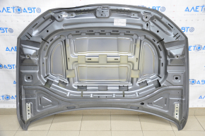 The hood is bare VW Jetta 19-24 graphite LD7X dented in the front, rust, bumps