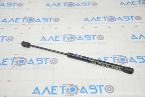 Hood shock absorber left Tesla Model 3 18- not EVANNEX